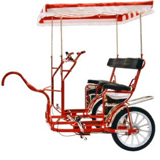 Surrey Tram Luxury, Multi-Passenger, High-Performance Ride
