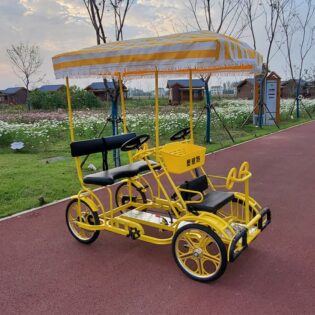 SURREY BIKE