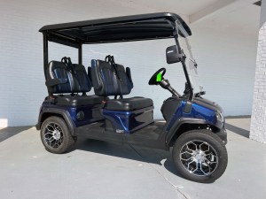 Blue-Evolution-D5-Lithium-Golf-Cart-Forward-Facing-02_0x225