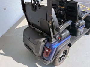 Blue-Evolution-D5-Lithium-Golf-Cart-Forward-Facing-09_0x225