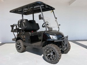 Black ROYAL EV Lithium Ambassador Golf Cart